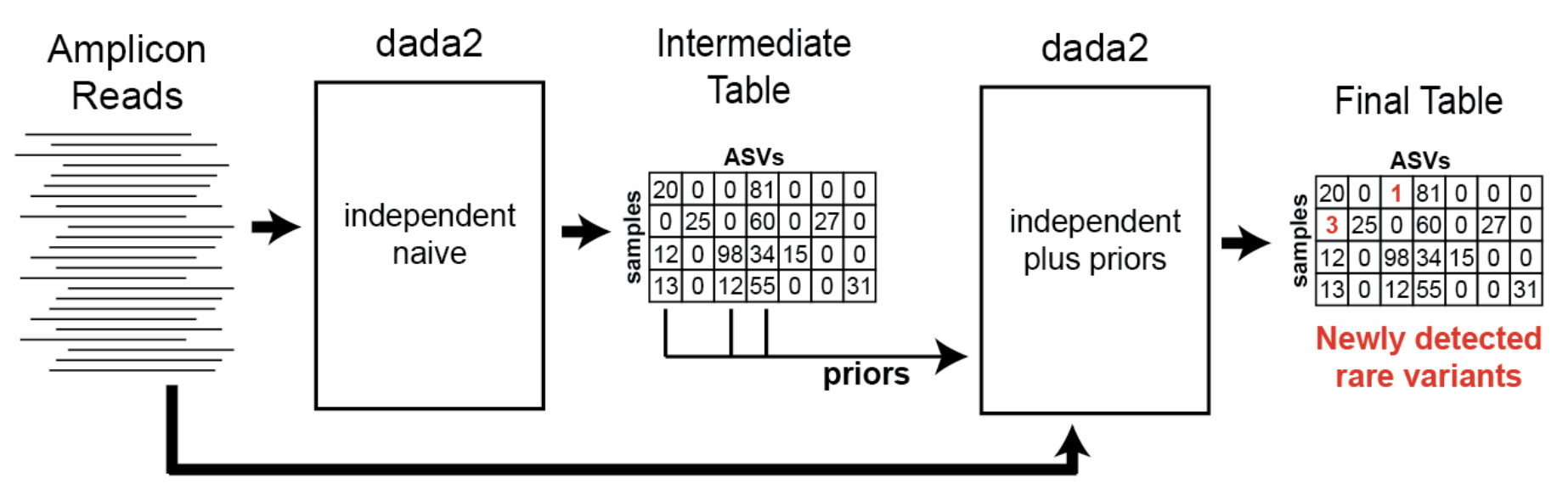 Schematic of DADA2 with pseudo pooling